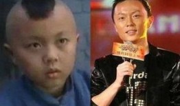 明星大爆料谢苗视频播放,明星大爆料背后的惊人真相