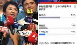 台湾选举爆料新闻,揭秘幕后黑手与惊人爆料